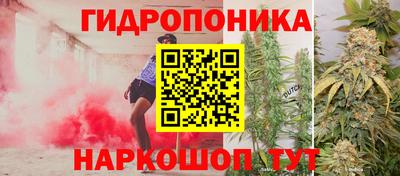 прущая мука Можга