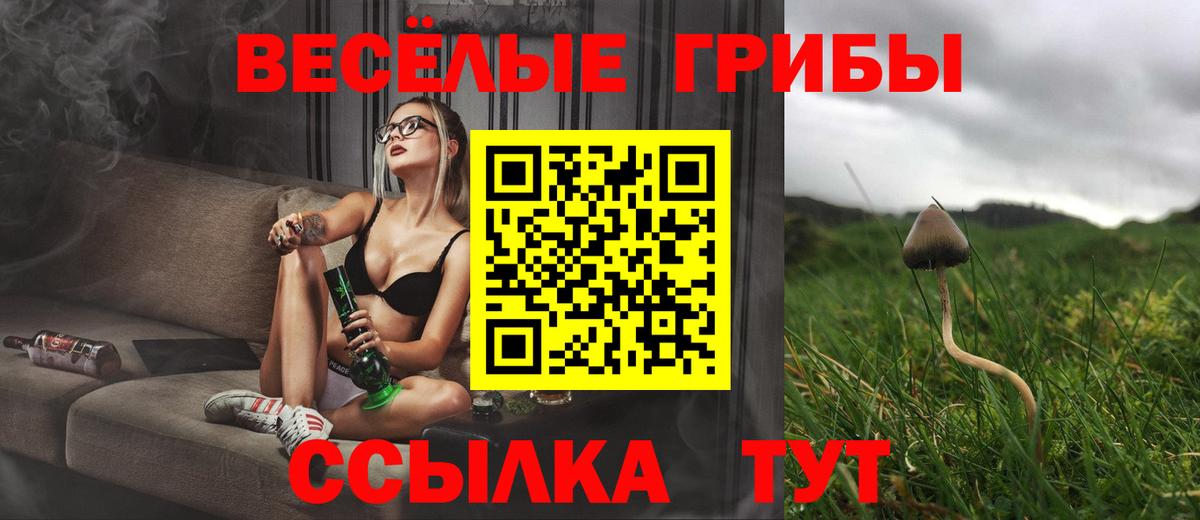 Псилоцибиновые грибы Psilocybine cubensis Учалы